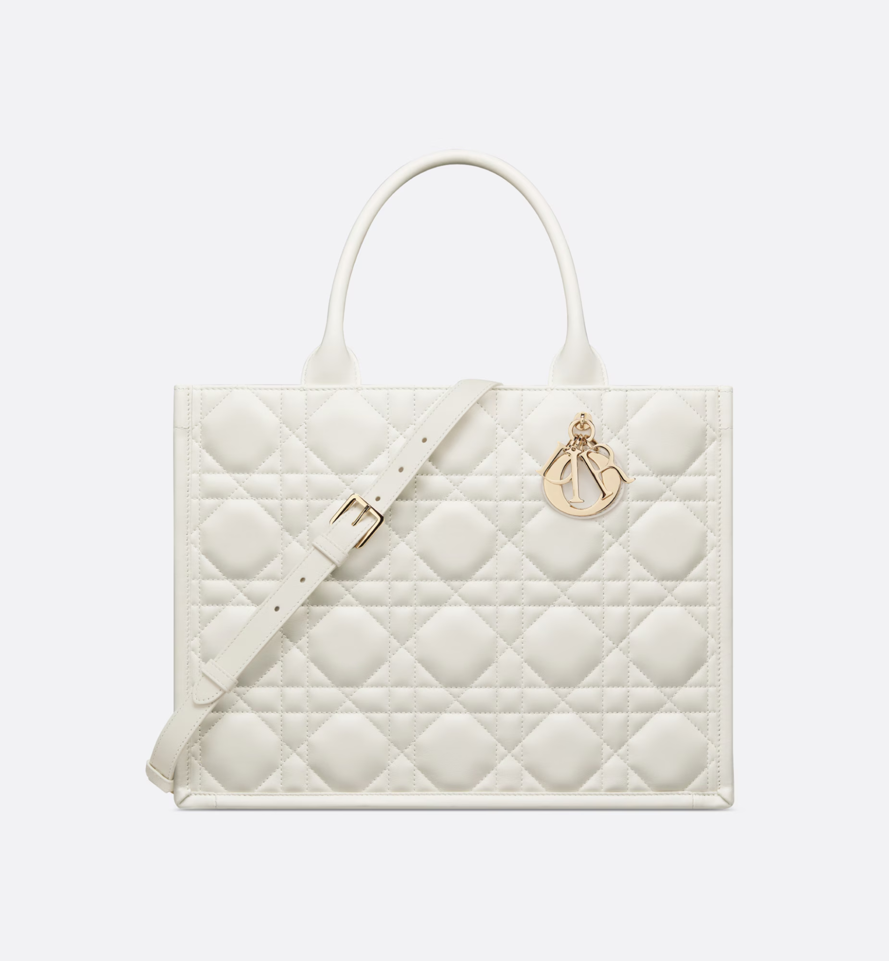 Medium Dior Book Tote